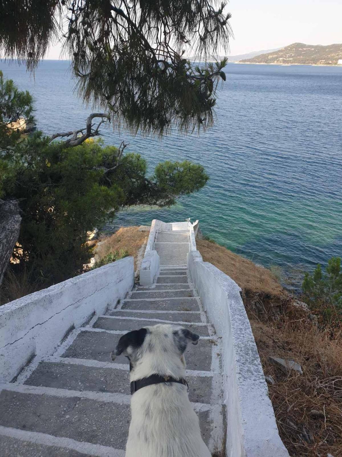 Apartament Circe